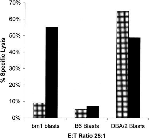 Fig. 7. Lytic activity of splenocytes isolated from bm1 mice against blast cells from bm1, B6, or DBA/2J mice. Bm1 mice were killed 35 days after splenocyte transfer of either C57BL/6 (▪) or MIP-1−/− (▦) mice. Splenocytes were stimulated in vitro as indicated and tested for lytic activity in a conventional51Cr-release assay. This is one of three representative experiments.