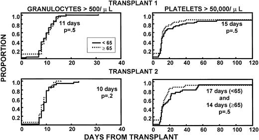 Fig. 1. Similar recovery kinetics of granulocytes (>500/μL) and of platelets (>50,000/μL) in young and old patients, with both first and second transplant. The fraction of patients with CD34 >5 × 106/kg was comparable between age groups.