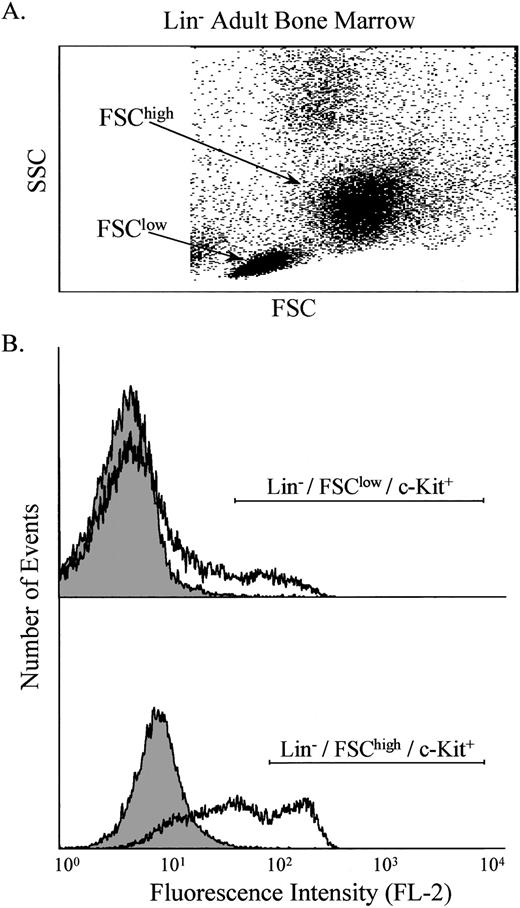 Fig. 1. Analysis of Lin− adult bone marrow cells. The light scatter properties of the cells were measured (A), and two populations were identified, designated FSClow and FSChigh. These populations were analyzed individually for the presence of c-Kit on the cell surface using PE-conjugated anti–c-Kit antibodies (B). The shaded area indicates control cells, whereas the open area indicates cells labeled with anti–c-Kit antibodies. Note that FL-2 measures PE.