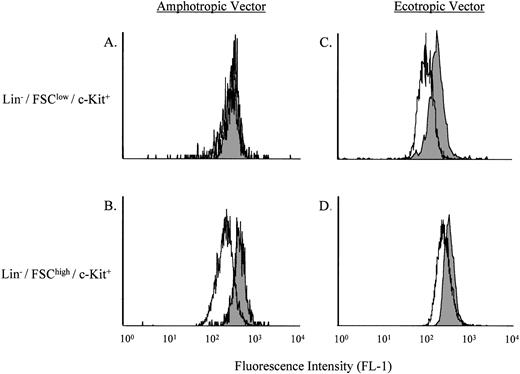 Fig. 5. Comparison of the transduction efficiencies using amphotropic versus ecotropic retroviral vectors. (A) and (C) depict the Lin−/FSClow/c-Kit+ stem cell–enriched population, whereas (B) and (D) depict the Lin−/FSChigh/c-Kit+ progenitor cell–enriched population. The shaded areas represent nontransduced ASMKO cells, whereas the open areas depict transduced cells. Note that FL-1 measures B12SPM. The experiment was repeated three times, and the representative data from one experiment are shown.