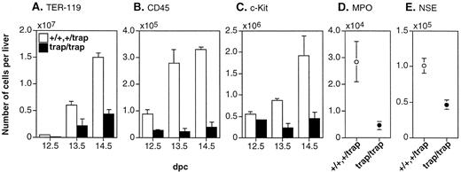 Fig. 3. The lower numbers of representative hematopoietic cells in the fetal livers of jmjtrap/trap embryos. The numbers of TER-119+ cells (A), CD45+ cells (B), and c-Kit+ cells (C) per fetal liver from 12.5 dpc to 14.5 dpc were estimated by flow cytometry. The numbers of MPO+ cells (D) and NSE+ cells (E) per fetal liver at 12.5 dpc were estimated by cytochemical analyses. (A through E) The open columns and circles indicate the average numbers of positive cells from jmj+/+ andjmj+/trap embryos, and the closed columns and circles indicate the average numbers fromjmjtrap/trap embryos. In all cases, more than three embryos were analyzed. The error bars indicate SEM.