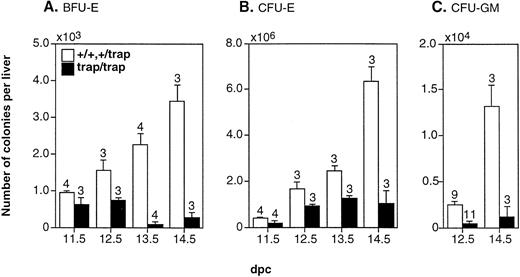 Fig. 4. The reduction in the numbers of hematopoietic progenitors in the fetal livers of jmjtrap/trap embryos. The numbers per fetal liver of BFU-E (A) and CFU-E colonies (B) in 11.5 dpc to 14.5 dpc embryos and CFU-GM colonies (C) in 12.5 dpc and 14.5 dpc embryos were determined. The open and closed columns indicate the average numbers of colonies from jmj+/+ andjmj+/trap embryos and fromjmjtrap/trap embryos, respectively. The numbers of fetal livers analyzed are shown above the columns and the error bars indicate SEM.