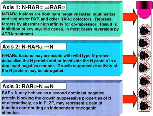 Fig. 11. Three axes to be investigated in understanding the pathogenesis of APL.