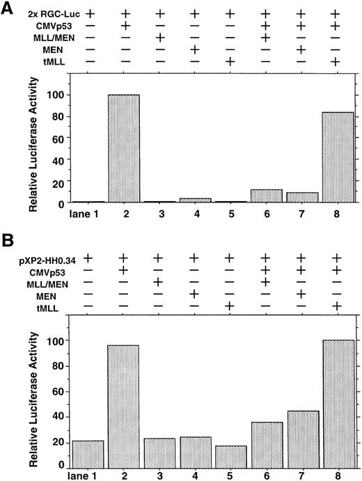 Fig. 1. Effect of the MLL/MEN chimeric protein on p53-dependent transcription. (A) HeLaS3 cells were transfected with 2 μg of 2x RGC-Luc, 2 μg of CMVp53, and 2 μg of pME18S-MEN(HA), pME18S-MLL/MEN(HA), or pME18S-tMLL(HA) by using a calcium phosphate method. The total amounts of the transfected DNAs were equalized in all samples with the backbone vector, pME18S. Equal amounts of the cell lysates were assayed for luciferase activities 24 hours after transfection. The highest value was arbitrarily set as 100 and all others were consequently normalized. (B) HeLaS3 cells were transfected with 2 μg of pXP2-HH0.34, 2 μg of CMVp53, and 2 μg of pME18S-MEN(HA), pME18S-MLL/MEN(HA), or pME18S-tMLL(HA) by using a calcium phosphate method and were assayed in the same way as (A).