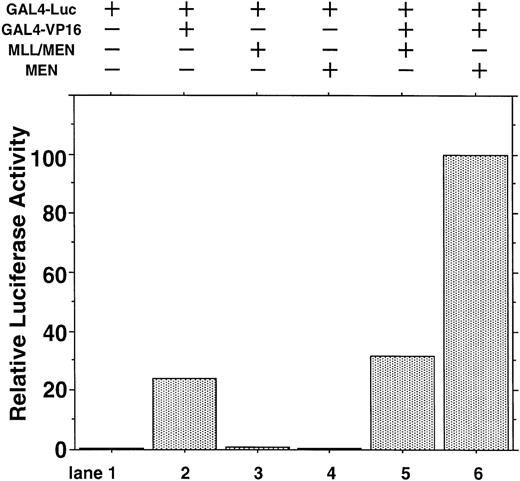 Fig. 2. Effect of the MLL/MEN chimeric protein on p53-independent transcription. HeLaS3 cells were transfected with 2 μg of GAL4-Luc, 2 μg of pME18S-GAL4/VP16, and 2 μg of pME18S-MEN(HA) or pME18S-MLL/MEN(HA) by using a calcium phosphate method and were assayed in the same way as in Fig 1.