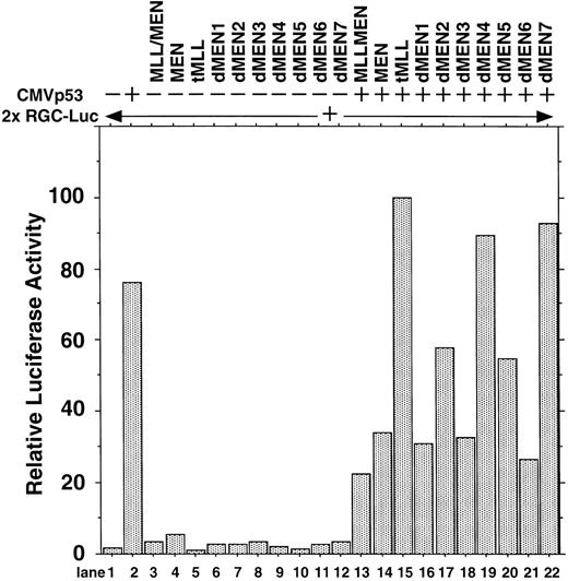 Fig. 5. Deletion mutants of MEN that disrupt inhibitory functions on p53-mediated transactivation. HeLaS3 cells were transfected with 2 μg of 2x RGC-Luc, 2 μg of CMVp53, and 2 μg of pME18S-MEN(HA), pME18S-MLL/MEN(HA), pME18S-tMLL(HA), or one of the expression vectors of MEN mutants by using a calcium phosphate method and were assayed in the same way as in Fig 1.