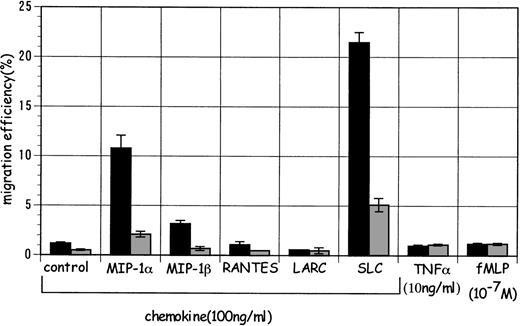 Fig. 3. The effect of the various chemokines on the migration of CD11b−/dullCD11c+ and CD11b+hiCD11c+ DC precursors. Optimal concentrations of chemokines (100 ng/mL), TNF- (10 ng/mL), and fMLP (10−7 mol/L) were tested as the ligand for chemotaxis. (▪) CD11b−/dullCD11c+ DC precursors; (▩) CD11b+hiCD11c+ DC precursors. The data represent the mean value ± SD of percentage. The results are representative of more than three experiments.