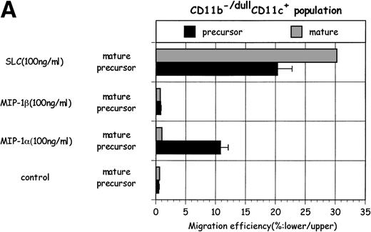Fig. 4. The comparison of the migration toward several chemokines between (▪) precursor and (▩) mature DC in (A) CD11b−/dullCD11c+ and in (B) CD11b+hiCD11c+ populations. The data represent the mean value ± SD of percentage. The results are representative of more than three experiments.
