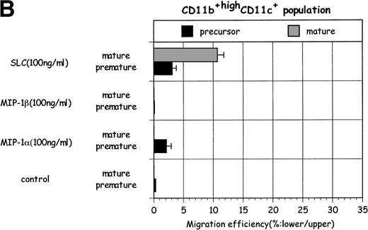 Fig. 4. The comparison of the migration toward several chemokines between (▪) precursor and (▩) mature DC in (A) CD11b−/dullCD11c+ and in (B) CD11b+hiCD11c+ populations. The data represent the mean value ± SD of percentage. The results are representative of more than three experiments.