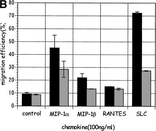Fig. 6. Selective chemoattraction of DC precursors derived from murine HPCs by SLC and its regulation by TGF-β1. (A) Selective migration of DC precursors from GM-CSF+SCF– and GM-CSF+SCF+TNF-–stimulated HPCs was abrogated by TGF-β1. The profiles in the uppermost row indicate the preloaded populations, and those in the rest of the rows indicate the population in the lower chamber after migration assay. (B) TGF-β1–induced macrophages (at day 13; ▩) were less sensitive to SLC than HPC stimulated with GM-CSF+SCF (▪). (C) LC-like mature DCs successively generated with GM-CSF+TNF- from TGF-β1–induced macrophages (at day 13) exhibited high selective migration toward SLC. The values in (B) and (C) represent the mean value ± SD of percentage. The results are representative of more than three experiments.