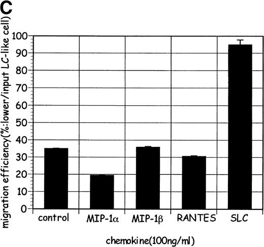 Fig. 6. Selective chemoattraction of DC precursors derived from murine HPCs by SLC and its regulation by TGF-β1. (A) Selective migration of DC precursors from GM-CSF+SCF– and GM-CSF+SCF+TNF-–stimulated HPCs was abrogated by TGF-β1. The profiles in the uppermost row indicate the preloaded populations, and those in the rest of the rows indicate the population in the lower chamber after migration assay. (B) TGF-β1–induced macrophages (at day 13; ▩) were less sensitive to SLC than HPC stimulated with GM-CSF+SCF (▪). (C) LC-like mature DCs successively generated with GM-CSF+TNF- from TGF-β1–induced macrophages (at day 13) exhibited high selective migration toward SLC. The values in (B) and (C) represent the mean value ± SD of percentage. The results are representative of more than three experiments.