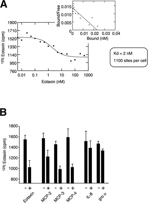 Fig. 2. 125I-Eotaxin binds human thymocytes with high affinity. (A) Homologous competition using unlabeled eotaxin shows displacement of labeled eotaxin from rigorously purified thymocytes. Scatchard analysis shows a kd of 2 nmol/L and approximately 1,100 eotaxin-binding sites per cell across the entire population. The displacement and Scatchard curves are representative of n = 4 experiments. (B) Heterologous competition of 125I-Eotaxin using unlabeled MCP-2, MCP-3, MCP-4, IL-8, and Gro-. The histograms are the mean ± SE mean displacements from a single experiment in which each point was performed 6 times. The experiment is representative of n = 3 other analyses. (C) RT-PCR analysis of CCR-3 expression on the entire thymocyte population. PCR was performed using cloned full-length CCR-3 cDNA as a control. (D) The PCR product was transferred and probed using an internal 32P-labeled oligomer to human CCR-3, as described in Materials and Methods.