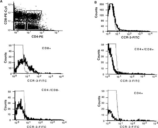 Fig. 3. FACS analyses of CCR-3 expression on fractionated human thymocytes. Thymocytes were prepared as described in Methods and stained with anti-CCR-3 (7B11; IgG2a) according to standard protocols. After secondary antibody labeling, the cells were stained with anti-CD4-PE and anti-CD8-PE-Cychrome. Three-color analyses were performed according to standard methodology on gated subpopulations as shown by dot-plot. The results are representative of n = 3 separate donors.