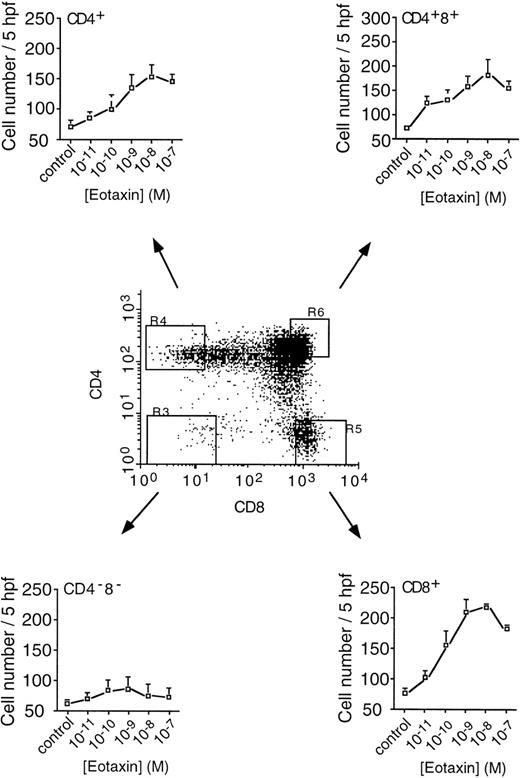 Fig. 5. Migration of fractionated thymocytes. Human thymocytes, labeled with fluorescent antibodies to CD4 and CD8, were sorted into DN (CD4−CD8−), DP (CD4+CD8+), SP (CD4+), and SP (CD8+) populations for analysis of migration. Cells were used immediately after sorting and migration assessed as previously described.22 Each point represents the mean ± SE mean number of migrated cells per 5 high power fields (×400) from n = 3 experiments performed in duplicate. The dot-plot is representative of the gated fields from which the pure populations were obtained. Each population was greater than 99.6% pure (n = 3).