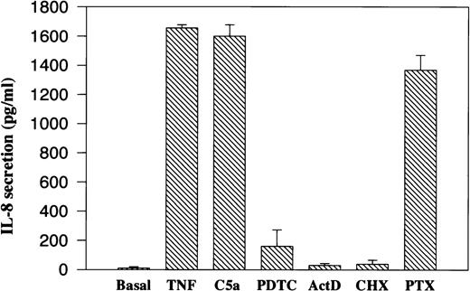 Fig. 3. Effect of transcription and translation inhibitors and pertussis toxin on C5a induced IL-8 secretion. Freshly prepared PBMC (0.5 × 106) were preincubated with different inhibitors for 1 hour and with pertussis toxin (PTX) for 4 hours. The cells were then stimulated with 200 nmol/L of recombinant human C5a for 2 hours. The supernatants were taken for measurement of secreted IL-8 by ELISA. The final concentration of PDTC was 10 μmol/L, the transcription inhibitor ActD was added to 5 μg/mL, and the final concentration of CHX was 10 μg/mL. PTX was added to 1 μg/mL. TNF (40 ng/mL) was used as a positive control. Data were from three separate experiments, each with duplicate measurements.