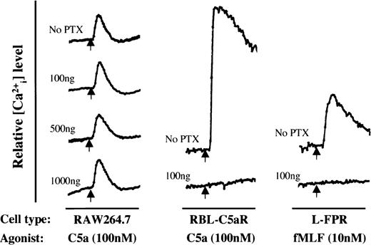 Fig. 10. Effects of pertussis toxin (PTX) on calcium mobilization in three different cells. The cells were treated for 16 hours with PTX at the concentrations indicated next to each tracing (in nanograms per milliliter). Agonist-induced calcium mobilization was then measured using indo-1 AM as a fluorescent calcium indicator. Relative intracellular calcium levels are shown. The arrows mark the time points when agonist was applied. Each horizontal bar represents approximately 50 seconds.