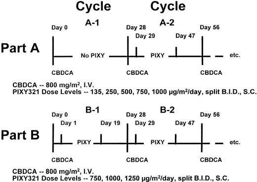 Fig. 1. Treatment schema.