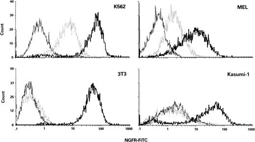 Fig. 2. FACS analysis of surface ▵LNGFR expression in erythroblastic (K562 and MEL) and nonerythroblastic (3T3 and Kasumi-1) cell lines transduced by ▵SFCM (solid lines), GATA-SFCM (dotted lines), and SFCM (bold lines) vectors. Cells were stained with FITC-conjugated anti-LNGFR antibody.