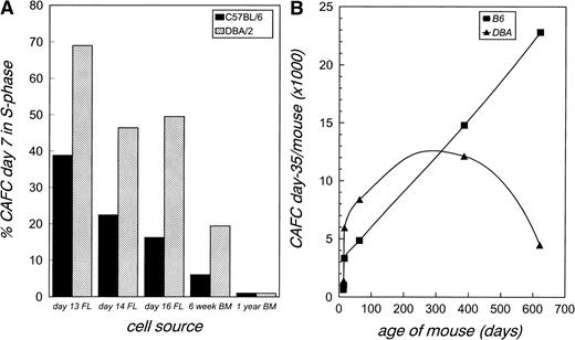 Fig. 1. Changes in the proliferative status and total number of hematopoietic stem cells in B6 and DBA mice during aging. (A) The percentage of CAFC day-7 in S-phase was measured at different timepoints during development in the fetal liver (FL) and adult bone marrow (BM) in B6 and DBA mice. (B) The total number of CAFC day-35 per B6 (▪) and DBA (▴) mouse was calculated in the fetal liver (first three datapoints) or adult bone marrow (other datapoints). Differences between B6 and DBA values are significant (nonoverlapping 95% confidence intervals) at all timepoints, except at 1 year.