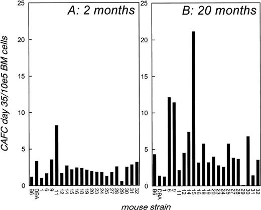 Fig. 3. CAFC day-35 frequency in bone marrow of young and old BXD mice. CAFC day-35 frequencies were determined in the bone marrow of 2-month (A) and 20-month (B) old BXD mice. The results presented in (A) are shown for comparison and have been published.30
