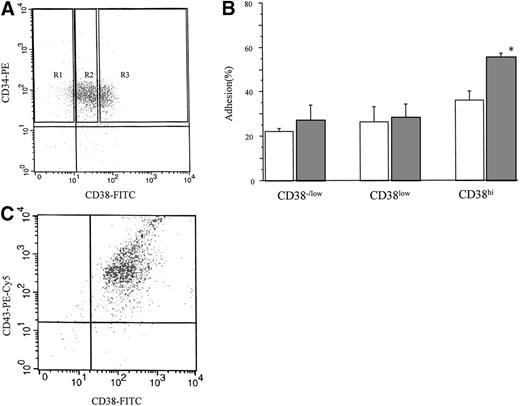 Fig. 3. Influence of CD43 on cord blood CD34+ cell subsets. (A) Gates used to select cord blood CD34+subpopulations based on CD38 expression. Cells were sorted by FACSstar Plus after MACS preenrichment. R1: CD34+CD38−/low cells; R2: CD34+CD38low cells; R3: CD34+CD38hi cells. (B) The effect of CD43 engagement on adhesion of CD34+ subpopulations to immobilized fibronectin. Cells were stimulated with isotype-matched control IgG or anti-CD43 MoAb (clone DF-T1) followed by goat antimouse IgG, then subjected to adhesion assay. Data represent the mean ± SE from three separate experiments with triplicate samples for each group in every experiment. *P < .05 versus control. (□), control; (▪) CD43-stimulated. (C) Expression of CD38 and CD43 on the CD34+ cell population. Three-color analysis was performed on the cells isolated from cord blood by MACS. Expression of CD38 and CD43 was analyzed on the gated CD34+ cell population by FACScan.