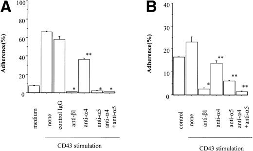 Fig. 4. Effect of anti-integrin antibody on CD43-enhanced MO7e and cord blood CD34+ cell adhesion to fibronectin. (A) MO7e cells were treated with or without anti-CD43 MoAb (clone DF-T1) and goat antimouse IgG. CD43-stimulated cells were incubated with 10 μg/mL control IgG or anti-integrin antibody for an additional 20 minutes at 4°C and subjected to adhesion assay. Data represent the mean ± SE of triplicate assays for one of two reproducible experiments. *P < .0001, **P < .001 versus CD43-stimulated adhesion without additional antibodies. (B) Sorted CD34+ cells were treated with 20 μg/mL control IgG or CD43 (clone DF-T1) followed by goat antimouse IgG. CD43-stimulated cells were incubated with 10 μg/mL anti-integrin antibody for an additional 20 minutes at 4°C and subjected to adhesion assay. Data represent the mean ± SE from three separate experiments with triplicate samples for each group in every experiment. *P < .01, **P < .05 versus CD43-stimulated adhesion without additional antibodies.