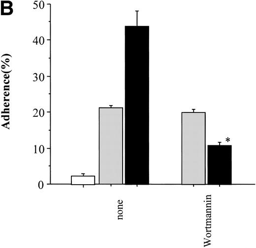 Fig. 5. Effect of inhibitors on CD43-stimulated MO7e cell adhesion to fibronectin. (A) Cells were pretreated with 1 μmol/L wortmannin, 0.2 μg/mL chorea toxin, 50 μmol/L HA1004, or 50 μmol/L H7 for 30 minutes or 1 μg/mL herbimycin A for 18 hours at 37°C. Then, cells were cross-linked with anti-CD43 MoAb (clone DF-T1) and subjected to adhesion assay. *P < .01 versus control, **P < .01 versus CD43-stimulated adhesion without inhibitors. (□), control; (▩), CD43-stimulated; (B) Cells pretreated with 1 μmol/L wortmannin for 30 minutes at 37°C were cross-linked with anti-CD43 MoAb (clone DF-T1) or treated with 10 ng/mL steel factor and subjected to adhesion assay. *P < .01 versus steel factor-stimulated adhesion without wortmannin. (□), control; (▩), CD43-stimulated; (▪), steel factor-stimulated. (C) Cells were pretreated with U73122 at the indicated concentrations for 30 minutes at 37°C. Then, cells were cross-linked with anti-CD43 MoAb (clone DF-T1) and subjected to adhesion assay. *P < .05, **P< .001 versus CD43-stimulated adhesion without U73122. (○), control; (◍), CD43-stimulated; (•) pretreated with U733343 (2 μmol/L) before CD43 cross-linking; Data represent the mean ± SE of triplicate assays for one representative experiment of three reproducible experiments.