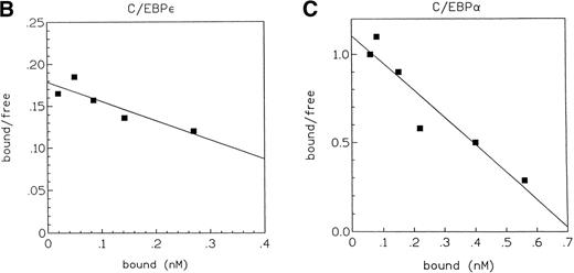 Fig. 3. (A) Comparison of DNA binding affinity of C/EBPɛ (p32) and C/EBP to neutrophil elastase C/EBP site. EMSA study with32P γ-ATP–labeled C/EBP binding site oligonucleotide from the neutrophil elastase promoter and either C/EBPɛ or C/EBP expressed in COS-1 cells. The same amount of protein was incubated with decreasing concentrations of hot oligonucleotides (left to right). β emissions of the retarded bands and the free hot probe were quantitated by an AMBIS imaging system. (B) and (C) show the Scatchard analyses of the data for C/EBPɛ and C/EBP, respectively. The slope of the curves express the affinity of the protein for the DNA motif. kd: −1/slope: C/EBPɛ: 4.2 nmol/L; C/EBP: 0.65 nmol/L.