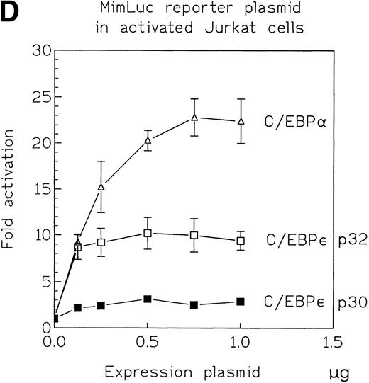 Fig. 4. (A) Effect of C/EBPɛ isoforms p32 and p30 and C/EBP on transcription of promoter-reporter plasmids for the mim-1, neutrophil elastase, and G-CSF receptor promoters in CV-1 cells. Maximal activation was achieved with 500 ng of the expression vector. C/EBPɛ p32 activated the promoters 2.5-, 1.8-, and 1.6-fold, respectively. C/EBPɛ p30 showed only a small effect on the mim-1 promoter (1.5-fold activation). C/EBP was used as a positive control and activated the reporters approximately twofold to fourfold. For experiments using the mim-1 and neutrophil elastase promoter constructs, transactivation by the empty expression plasmid served as the baseline. (B) Effect of C/EBPɛ isoforms p32 and p30 on transcriptional activation of mim-1 and neutrophil elastase promoter in T-cell leukemia cell line Jurkat. Isoform p32 is 3.5-fold more active than p30 on the mim-1 promoter and 1.5-fold more active on the neutrophil elastase promoter. (C) Western blot demonstrates that transfected Jurkat cells expressed equal amounts of C/EBPɛ p32 and p30. (D) Dose-response curve for transcriptional activation potential of C/EBPɛ p30, p32, and C/EBP on mim-1 promoter in T-cell leukemia cell line Jurkat.