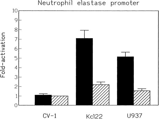 Fig. 5. Relative luciferase activity of neutrophil elastase promoter constructs with and without C/EBP site mutation. Constructs tested in CV-1 cells and the myeloid leukemia cell lines Kcl22 and U937. Luciferase activty of the empty vector construct p19Luc was arbitrarily set as 1. (▪) Wild-type; (▨) C/EBP site mutant.