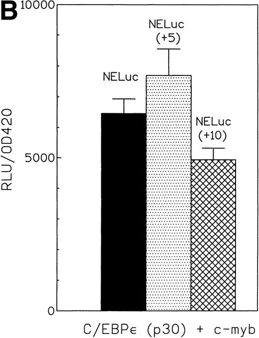 Fig. 6. (A) Cooperative transactivation of the neutrophil elastase promoter by c-myb and either p32 or p30 isoforms of C/EBPɛ. Expression plasmids (500 ng) or empty vectors were cotransfected with 4 μg of either the NELuc reporter or reporter plasmids mutated at either the C/EBP or myb site. Combination of C/EBPɛ and c-myb were 1.5-fold to twofold more active than the additive effect of both factors alone. Binding of both factors to their DNA motif was required for cooperation. (▪) Wild-type; (▨) C/EBP site mutant; () Myb site mutant. (B) Effect of spacing between C/EBP and c-myb binding sites in neutrophil elastase promoter on transcritional activation by C/EBPɛ p30 and c-myb. Two constructs with the insertion of either 5 (NELuc +5) or 10 bp (NELuc +10) between the binding sites were used. (C) Cooperative transactivation of mim-1 promoter (−240 to +150) Luc reporter plasmid with c-myb and either the p32 or p30 isoforms of C/EBPɛ or C/EBP. Expression plasmids or empty vectors (500 ng) were cotransfected with reporter plasmid (4 μg) into CV-1 cells. Luciferase activity was assayed after 40 hours.