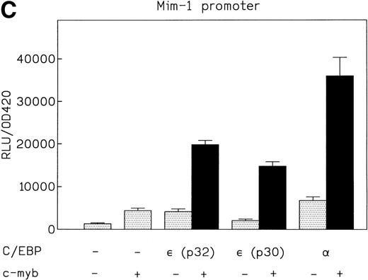 Fig. 6. (A) Cooperative transactivation of the neutrophil elastase promoter by c-myb and either p32 or p30 isoforms of C/EBPɛ. Expression plasmids (500 ng) or empty vectors were cotransfected with 4 μg of either the NELuc reporter or reporter plasmids mutated at either the C/EBP or myb site. Combination of C/EBPɛ and c-myb were 1.5-fold to twofold more active than the additive effect of both factors alone. Binding of both factors to their DNA motif was required for cooperation. (▪) Wild-type; (▨) C/EBP site mutant; () Myb site mutant. (B) Effect of spacing between C/EBP and c-myb binding sites in neutrophil elastase promoter on transcritional activation by C/EBPɛ p30 and c-myb. Two constructs with the insertion of either 5 (NELuc +5) or 10 bp (NELuc +10) between the binding sites were used. (C) Cooperative transactivation of mim-1 promoter (−240 to +150) Luc reporter plasmid with c-myb and either the p32 or p30 isoforms of C/EBPɛ or C/EBP. Expression plasmids or empty vectors (500 ng) were cotransfected with reporter plasmid (4 μg) into CV-1 cells. Luciferase activity was assayed after 40 hours.