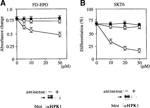 Fig. 5. Antisense oligonucleotide-mediated abrogation of HPK1 expression in FD-EPO cells and SKT6 cells leads to reduced Epo-dependent proliferation and inhibition of erythroid differentiation. Various concentrations (0 to 30 μmol/L) of HPK1 antisense S-oligonucleotides (○), HPK1 sense S-oligonucleotides (□), or scrambled S-oligonucleotides (•) were mixed with FD-EPO cells (A) or with SKT6 cells (B) in the presence of Epo. Cellular proliferation was measured using a MTT assay. The hemoglobinized cells were stained with DAF, and the percentage of hemoglobinized cells without oligonucleotides is shown as 100%. Values shown are the means of six experiments.