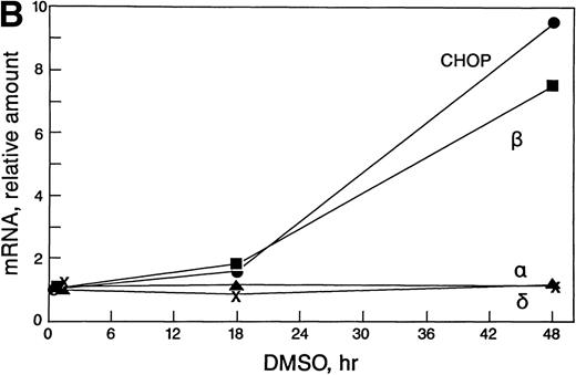 Fig. 3. Expression of c/ebp isoforms during erythroid differentiation. (A) Autoradiograms of Northern blot analyses. (B) Densitometric analysis of data in (A) normalized to 0 hours. Note the increase in both chop and c/ebpβ. In contrast,c/ebp and c/ebpδ were unchanged.