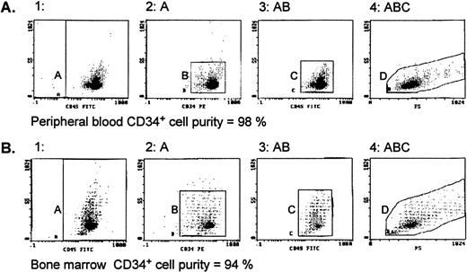 Fig. 1. Evaluation of CD34+ cell purity by flow cytometry. CD34+ cell fractions from peripheral blood (A) and bone marrow (B), separated using MidiMACS columns described in Materials and Methods, were stained with CD45-FITC (J33)/CD34-PE (581) monoclonal antibodies and sequential gating applied. Region A shows CD45 events versus side scatter (SS) that are then analyzed for CD34-PE staining (region B). The CD34+ events are then displayed on another CD45 versus SS dot plot (region C), where the CD34+ cells form a distinct cluster characterized by low CD45/SS expression. Finally, the events in region C are analyzed by SS and forward scatter (FS) parameters (region D) to define the true CD34+ cells. The same gating regions for the CD45-FITC/CD34-PE stained samples were used to analyze the IgG1/FITC isotype control, and these events were subtracted from the number of events in regions A and D to calculate the cell purity.