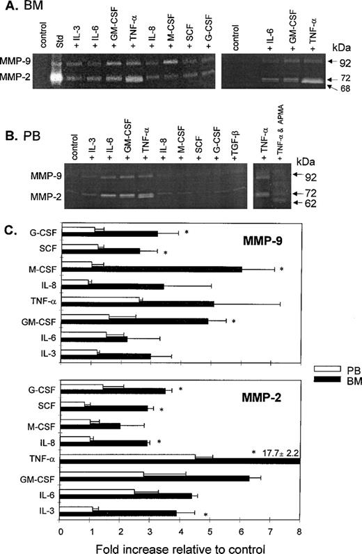 Fig. 4. Effect of cytokines on gelatinase activity of CD34+ cells from BM and PB. The cells were incubated for 24 hours in serum-free IMDM in the absence (control) or presence of a cytokine, and then zymography was performed on 10% (A, left panel) or 12% (A, right panel, and B) acrylamide containing 2 mg/mL gelatin. Data are representative of at least three experiments using CD34+ cells from both BM and PB sources. The final concentrations of cytokines are given in Materials and Methods. Media conditioned by HT-1080 cells was used as the standard (Std) showing the positions of the 92-kD (MMP-9) and 72-kD (MMP-2) activities in the gel. To establish the identity of the band having molecular weight lower than 72 kD, cell-conditioned media in the presence of TNF- was preincubated with 1 mmol/L APMA for 30 minutes before loading of the gel (B, left panel). (C) Densitometric analysis of gelatinolytic activities (MMP-9 and MMP-2). The intensities of the bands were quantitated relative to the control and expressed as fold increase ± standard deviations from two or three zymograms. The asterisks indicate where statistical differences exist (P < .05) in MMP-9 and MMP-2 activities of CD34+ cells from BM versus PB in response to each cytokine.