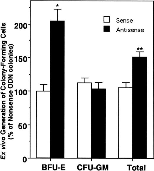 Fig. 4. Blocking HOX A5 expression increases the generation of BFU-E. Ex vivo expansion cultures of CD34+ cells with HOX A5 antisense, sense, or nonsense ODN were plated into colony assays containing IL-3, IL-6, SCF, and G-CSF and 2 U Epo (see Materials and Methods). Data are reported relative to the number of colonies generated from nonsense ODN-treated cells and are representative of the mean of three independent experiments, with each experiment containing three assay wells.