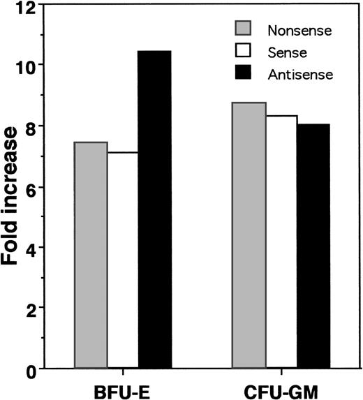 Fig. 5. HOX A5 antisense ODN potentiates the expansion of BFU-E during the ex vivo expansion of CD34+ cells. Fold increase in the total numbers of colony types formed after ex vivo expansion in the presence of HOX A5 antisense, sense, or nonsense ODN compared with colony types present in colony assays plated at start of expansion.