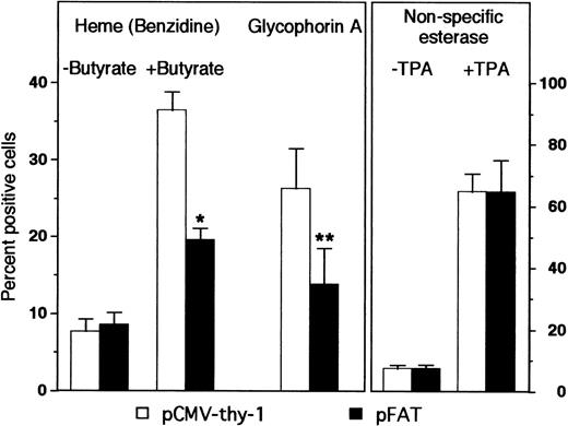 Fig. 7. HOX A5 overexpression inhibits the butyrate-induced differentiation of K562 cells. K562 cells were transfected with FLAG epitope-tagged HOX A5 (pFAT) or the empty vector (pCMV-thy-1). Erythroid differentiation was measured by heme content and cell surface expression of glycophorin A 72 hours posttransfection. Heme content was determined by direct benzidine staining of cells grown with or without butyrate; the data represent a mean of seven experiments. Glycophorin A was measured by FACS analysis and scored as the percentage of transfected cells displaying specific fluorescence intensity above background fluorescence levels; the data represent the mean of three experiments. Monocytic differentiation was measured by nonspecific esterase positivity of cells treated for 72 hours with or without 8 nmol/L TPA, and stained cytospun cells were scored by light microscopy; the data represent the mean of two experiments. *P < .001; **P < .05.