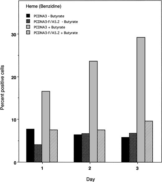 Fig. 8. Time course of butyrate-induced erythroid differentiation. K562 cells were transiently cotransfected with pCDNA3-F/A5.2 or the empty vector and pCMV-thy-1, as described in Materials and Methods. Aliquots of cells were harvested at 24-hour intervals, and heme content of cells without or with butyrate was measured by benzidene staining.