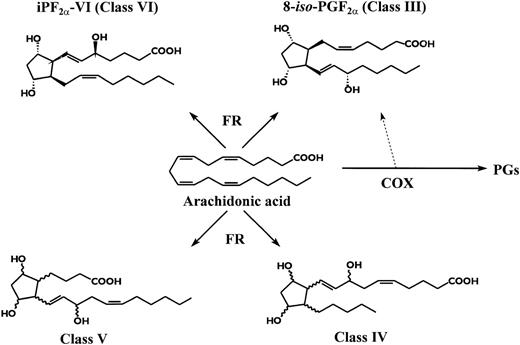 Fig. 1. Generation of F2a Isoprostanes from arachidonic acid.