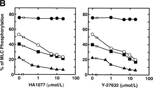 Fig. 3. Effects of HA1077 and Y-27632 on agonist-induced ATP secretion of human platelets and MLC phosphorylation at Ser19 in intact platelets. (A) Effects of HA1077 and Y-27632 on agonist-induced ATP secretion. Human platelets incubated for 3 minutes in the aggregometer with various concentrations of HA1077 (left panel) or Y-27632 (right panel) were stimulated with 0.1U/mL thrombin (•), 0.05 U/mL thrombin (○), 1 μmol/L STA2(▪), or a mixture of 1 μmol/L serotonin and 1 μmol/L epinephrine (▴) for 30 seconds, without stirring. Control levels of ATP secretion induced by 0.1 U/mL thrombin, 0.05 U/mL thrombin, STA2, and a mixture of serotonin and epinephrine were 354 ± 23.1, 184 ± 15.5, 173 ± 13.1, and 39.6 ± 2.58 pmol/108 platelets (n = 3), respectively. The values represent the average of three experiments (SD <10%). (B) Effects of HA1077 and Y-27632 on agonist-induced MLC phosphorylation at Ser19 in intact platelets. Washed platelets preincubated with various concentrations of HA1077 (left panel) or Y-27632 (right panel) were stimulated with 0.1 U/mL thrombin (•), 0.05 U/mL thrombin (○), 1 μmol/L STA2 (▪), or a mixture of 1 μmol/L serotonin and 1 μmol/L epinephrine (▴), without stirring. The extent of 20-kD MLC phosphorylation was expressed as the percentage of 20-kD MLC in the monophosphorylated form. The values represent the average of three experiments (SD <10%)