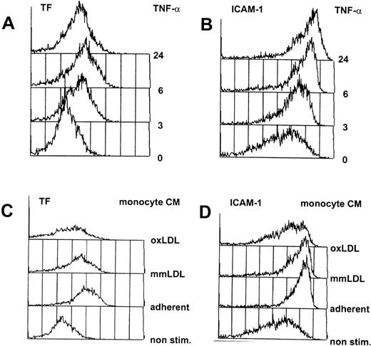 Fig. 1. Flow cytometric analysis of cytokine-activated HUVEC. HUVEC were continuously exposed to 12 nmol/L TNF- (A and B) or the 1/10 diluted conditioned medium from activated human monocytes (C and D), and at various timepoints aliquots of the cells were analyzed by flow cytometry as described in Materials and Methods. In each case, 5,000 cells were counted (y-axis) and fluorescence intensity is exponentially plotted starting from 100 (x-axis). Indicated are the FACscan readouts for the immediate response gene tissue factor (TF; A and C), and ICAM-1 (B and D), a late induced gene that is also present at low amounts on nonstimulated cells. (C) and (D) show nonactivated HUVEC (non stim.) or HUVEC activated by conditioned medium from monocytes activated by adherence to plastic tissue culture flasks with the addition of growth medium without additions (adherent) or supplemented with 50 μg/mL of minimally modified LDL (mmLDL) or oxidized LDL (oxLDL).