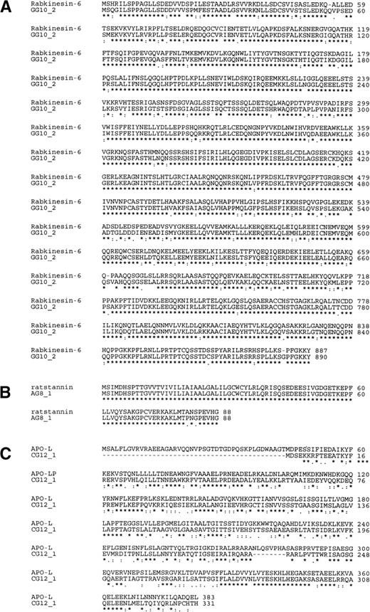 Fig. 4. Amino-acid sequence homology for 3 novel full-length human cDNAs obtained from an activated HUVEC cDNA library. Amino acid sequences from the coding sequence of 3 novel human cDNAs were compared to known proteins using the ClustalW algorithm for (A) the novel human cDNA GG10_2 and murine Rabkinesin-640; (B) the novel human cDNA AG8_1 and rat stannin39; and (C) the novel human cDNA CG12_1 and the human apolipoprotein-L.41