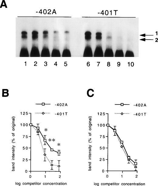 Fig. 3. Differences in binding affinity of the nuclear proteins for the polymorphic sites. (A) EMSA of nuclear extract derived from HepG2 cells bound to the −401T fragment in the presence of increasing concentrations of unlabeled −402A fragment (lanes 2 to 5) or −401T fragment (lanes 7 to 10) as competitor. Arrows 1 and 2 refer to the allele-specific factors. Lanes 1 and 6, 0.20 mg/mL of HepG2 extract in the absence of competitor; lanes 2 to 5 and 7 to 10, 0.20 mg/mL of HepG2 extract in the presence of threefold (lanes 2 and 7), ninefold (lanes 3 and 8), 27-fold (lanes 4 and 9) and 81-fold (lanes 5 and 10) excess DNA as competitor. The intensity of the protein-DNA complexes 1 and 2 were quantified in three independent experiments. The relative intensities of the protein-DNA complexes 1 and 2 in the presence of increasing concentrations of unlabeled DNA fragments are shown in B and C, respectively. Line plots indicate mean values and standard deviations. The statistical significance of differences was determined by Student’s paired t-test. *P < .05; **P< .01.