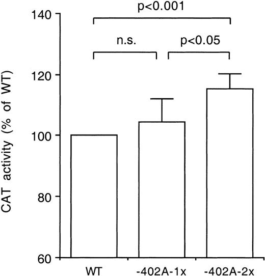 Fig. 4. Difference in transcriptional activity of the −402A allele. The CAT activities of constructs harboring one or two tandemly arranged 30 base pair fragments with either the wild-type (WT) site or the −402A site were compared in transfection studies using HepG2 cells. The constructs were tested in triplicate in four independent experiments. The CAT activities of the −402A-1x and −402A-2x constructs were expressed relative to the activities of the WT-1x and WT-2x constructs, respectively, the latter jointly indicated as WT. Bars indicate mean values and standard deviations. The statistical significance of differences was determined by Student’s pairedt-test.