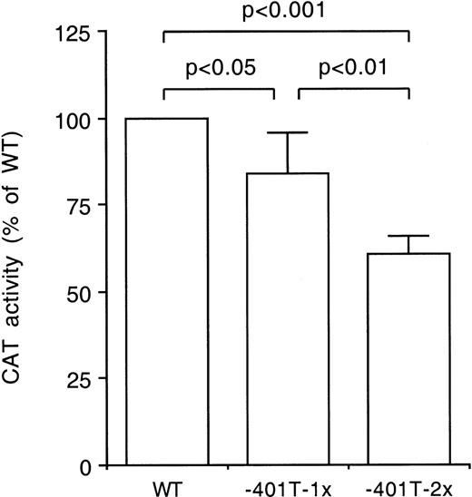 Fig. 5. Difference in transcriptional activity of the −401T allele. The CAT activities of constructs harboring one or two tandemly arranged 30 base pair fragments with either the wild-type (WT) site or the −401T site were compared in transfection studies using HepG2 cells. The constructs were tested in triplicate in four independent experiments. The CAT activities of the −401T-1x and −401T-2x constructs were expressed relative to the activities of the WT-1x and WT-2x constructs, respectively, the latter jointly indicated as WT. Bars indicate mean values and standard deviations. The statistical significance of differences was determined by Student’s pairedt-test.