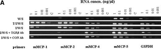 Fig. 7. The RT-PCR products of chymase genes from total RNA extracted from mBMMC cultures. Initial dilutions of the RNA template before reverse transcription are indicated (1, 0.1, 0.01, and 0.001 μg/mL). (A) shows the RT-PCR products using primer sets specific for the mMCP-1, mMCP-2, mMCP-4, mMCP-5, and G3PDH genes as indicated. Target RNA was from mBMMC cultured in WEHI/rrSCF alone (W/S), in rhTGF-β1 (1 ng/mL)/rmIL-9 (5 ng/mL)/WEHI (15%)/rrSCF (50 ng/mL) (T/I/W/S), in rmIL-9/WEHI/rrSCF (I/W/S) (day 14, as described in Fig 3), or in rmIL-9/WEHI/rrSCF (I/W/S) in the presence of anti–TGF-β antibody (TGFβ Ab) or a control antibody (Con Ab) as indicated (cultures described in Fig 6). Transcription of mMCP-1 and mMCP-2 is suppressed by the presence of anti–TGF-β antibodies, whereas transcripts for mMCP-4 and mMCP-5 are unaffected. Note the much higher level of transcription of mMCP-1 and mMCP-2 in the culture supplemented with TGF-β1. (B) shows the RT-PCR products using primer sets specific for the TGF-β1 and G3PDH genes as indicated. Target RNA was as described for (A). The transcripts for TGF-β1 appear to be unaffected by the culture conditions or the presence of anti–TGF-β antibodies.