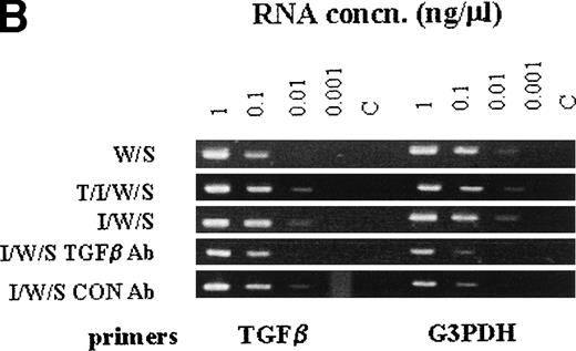 Fig. 7. The RT-PCR products of chymase genes from total RNA extracted from mBMMC cultures. Initial dilutions of the RNA template before reverse transcription are indicated (1, 0.1, 0.01, and 0.001 μg/mL). (A) shows the RT-PCR products using primer sets specific for the mMCP-1, mMCP-2, mMCP-4, mMCP-5, and G3PDH genes as indicated. Target RNA was from mBMMC cultured in WEHI/rrSCF alone (W/S), in rhTGF-β1 (1 ng/mL)/rmIL-9 (5 ng/mL)/WEHI (15%)/rrSCF (50 ng/mL) (T/I/W/S), in rmIL-9/WEHI/rrSCF (I/W/S) (day 14, as described in Fig 3), or in rmIL-9/WEHI/rrSCF (I/W/S) in the presence of anti–TGF-β antibody (TGFβ Ab) or a control antibody (Con Ab) as indicated (cultures described in Fig 6). Transcription of mMCP-1 and mMCP-2 is suppressed by the presence of anti–TGF-β antibodies, whereas transcripts for mMCP-4 and mMCP-5 are unaffected. Note the much higher level of transcription of mMCP-1 and mMCP-2 in the culture supplemented with TGF-β1. (B) shows the RT-PCR products using primer sets specific for the TGF-β1 and G3PDH genes as indicated. Target RNA was as described for (A). The transcripts for TGF-β1 appear to be unaffected by the culture conditions or the presence of anti–TGF-β antibodies.