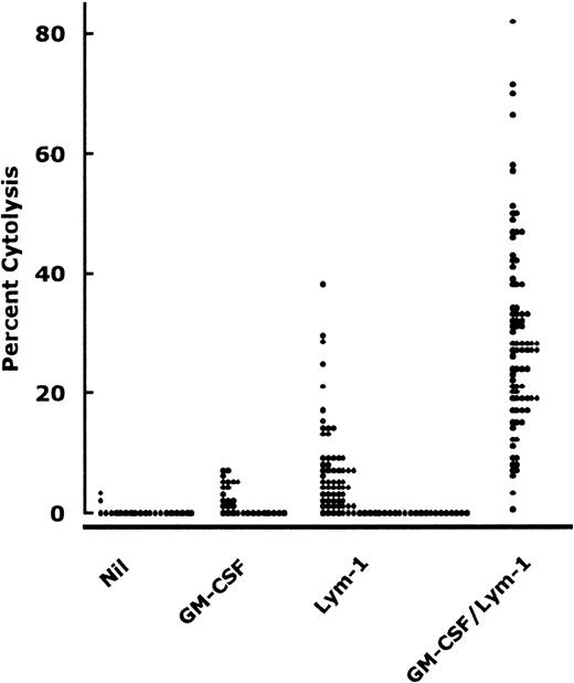 Fig. 1. Neutrophil-mediated cytolysis in the absence or presence of 10 μg/mL Lym-1 and/or 1 ng/mL GM-CSF.51Cr-labeled Raji cells were at 2 × 104. The neutrophil:Raji cell ratio was 20:1. The incubation time was 14 hours. In the absence of Lym-1 and GM-CSF (Nil), neutrophil-mediated lysis was 0.25 ± 0.77 (mean ± 1 SD, n = 21) with a median of 0.00 (confidence interval 95%, −0.09 to 0.60). In the presence of GM-CSF, the lysis was 1.97 ± 2.28 (mean ± 1 SD, n = 31) with a median of 0.80 (confidence interval 95%, 1.14 to 2.81). In the presence of Lym-1, the lysis was 5.08 ± 7.5 (mean ± 1 SD, n = 82) with a median of 2.2 (confidence interval 95%, 3.43 to 6.73). In the presence of both GM-CSF and Lym-1, the lysis was 29.14 ± 16.29 (mean ± 1 SD, n = 82) with a median of 27.20 (confidence interval 95%, 25.55 to 32.73). Neutrophil-mediated lysis in the presence of Lym-1 versus that observed in the absence (Nil) was P < .01. The lysis in the presence of GM-CSF versus that observed in the absence (Nil) was P > .05. Finally, the lysis in the presence of both Lym-1 and GM-CSF versus that in the absence (Nil) or that in the presence of Lym-1 or GM-CSF alone was always P < .001.